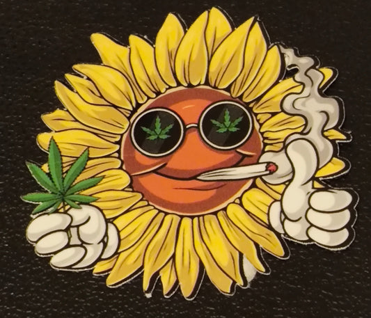 Sun 'Flower'